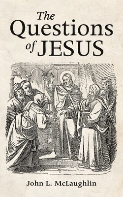 bokomslag Questions of Jesus