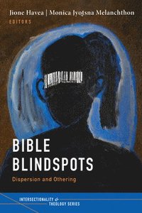 bokomslag Bible Blindspots