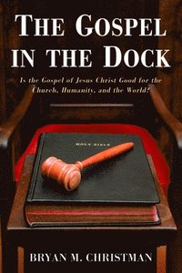 bokomslag The Gospel in the Dock