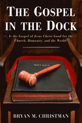 bokomslag The Gospel in the Dock