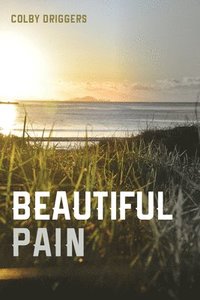 bokomslag Beautiful Pain