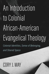 bokomslag Introduction to Colonial African-American Evangelical Theology