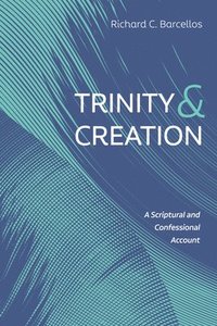 bokomslag Trinity and Creation
