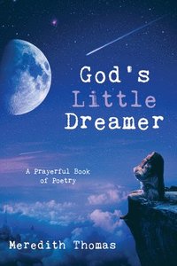 bokomslag God's Little Dreamer: A Prayerful Book of Poetry