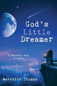 bokomslag God's Little Dreamer