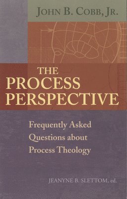 The Process Perspective 1