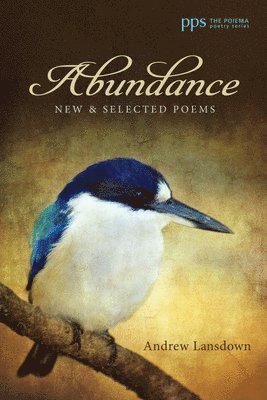 Andrew Lansdown - Abundance, Häftad