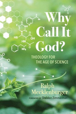 bokomslag Why Call It God?