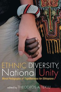 bokomslag Ethnic Diversity, National Unity