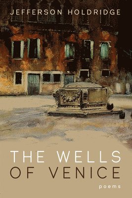 bokomslag The Wells of Venice