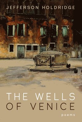 bokomslag Wells of Venice