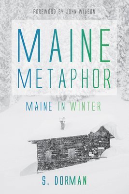 Maine Metaphor: Maine in Winter 1