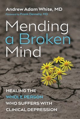 Mending a Broken Mind 1