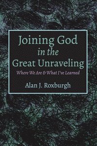 bokomslag Joining God in the Great Unraveling