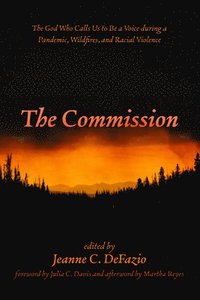 bokomslag The Commission
