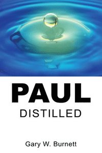 bokomslag Paul Distilled