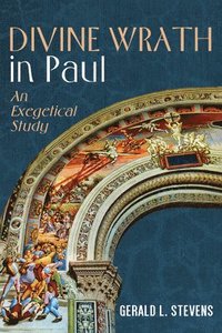 bokomslag Divine Wrath in Paul