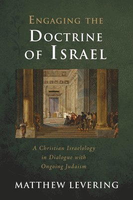 bokomslag Engaging the Doctrine of Israel