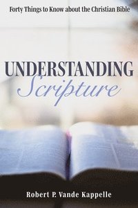 bokomslag Understanding Scripture