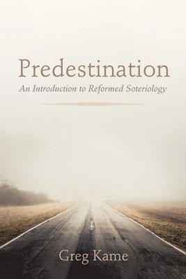 bokomslag Predestination