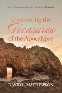 bokomslag Uncovering the Treasures of the Apocalypse