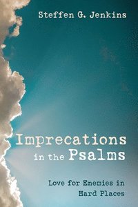 bokomslag Imprecations in the Psalms