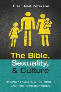 bokomslag The Bible, Sexuality, and Culture