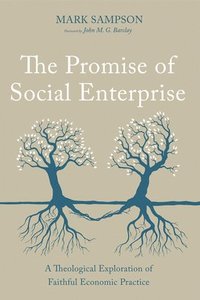 bokomslag The Promise of Social Enterprise