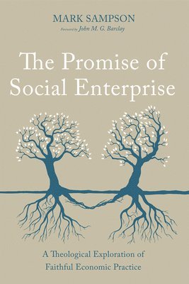 bokomslag Promise of Social Enterprise