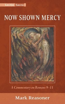 bokomslag Now Shown Mercy: A Commentary on Romans 9-11