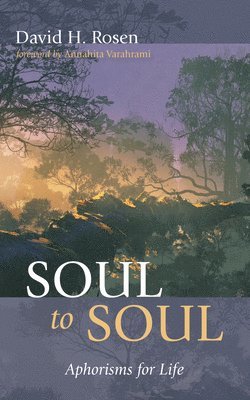 David H Rosen - Soul to Soul, Häftad