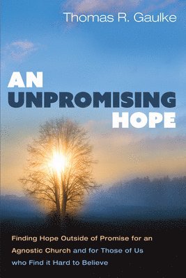 bokomslag An Unpromising Hope