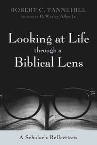 bokomslag Looking at Life through a Biblical Lens