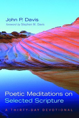 John P Davis, John P. Davis - Poetic Meditations on Selected Scripture, Häftad