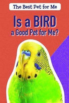 Is a Bird a Good Pet for Me? 1