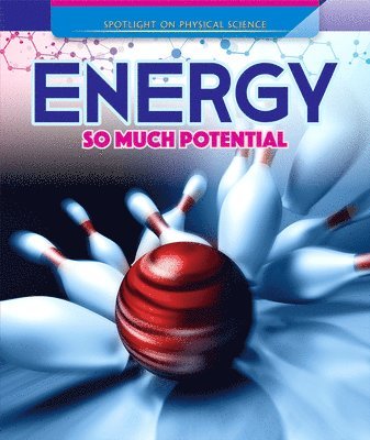 Lisa Idzikowski - Energy: So Much Potential, Inbunden