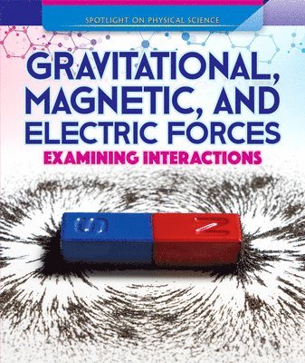 Daniel R. Faust - Gravitational, Magnetic, and Electric Forces: Examining Interactions, Inbunden