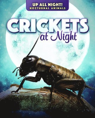 Kathleen A. Klatte - Crickets at Night, Inbunden. Tillgänglighet: Tillfälligt slut