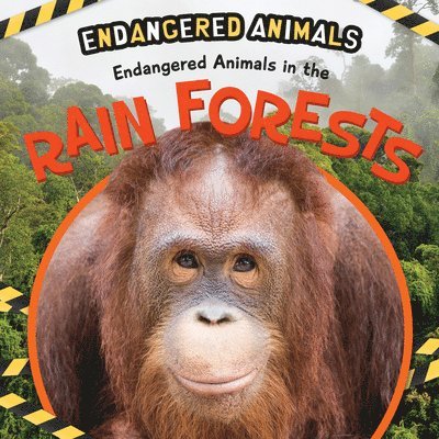 Emilie DuFresne - Endangered Animals in the Rain Forest, Häftad