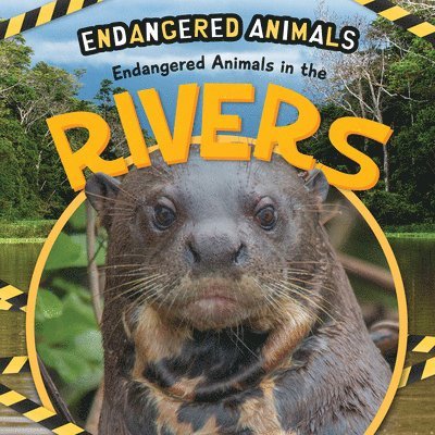 Emilie DuFresne - Endangered Animals in the Rivers, Häftad