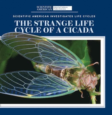 Anna McDougal - The Strange Life Cycle of a Cicada, Inbunden