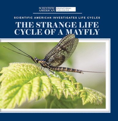 Anna McDougal - The Strange Life Cycle of a Mayfly, Häftad. Tillgänglighet: Lägg i varukorg