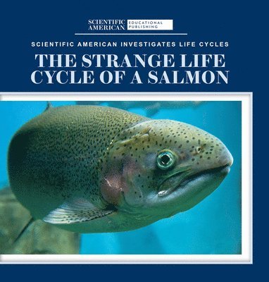 Anna McDougal - The Strange Life Cycle of a Salmon, Häftad. Tillgänglighet: Lägg i varukorg