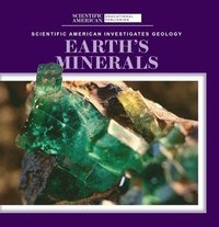 bokomslag Earth's Minerals