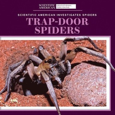bokomslag Trap-Door Spiders