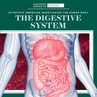 Leigh McClure - The Digestive System, Häftad