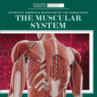 Leigh McClure - The Muscular System, Häftad