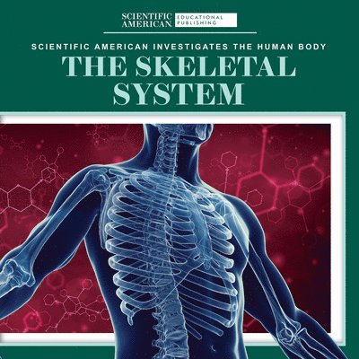 Leigh McClure - The Skeletal System, Häftad