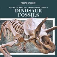 bokomslag Dinosaur Fossils