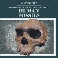 bokomslag Human Fossils